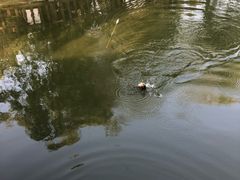 -酷鱼垂钓CLUB(朝阳区博大路店 )