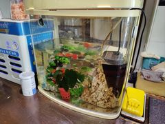 -LUCCA卢卡西班牙海鲜饭(远洋广场店)