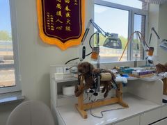 -派美特宠物医院·核磁CT·骨科肿瘤·疑难转诊(沈农禾丰店)