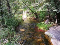 -碓臼峪自然风景区