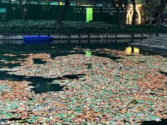 -星巴克(西湖天地店)