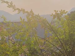 -杭州西湖风景名胜区-满觉陇四眼井