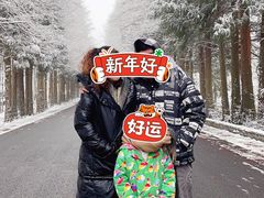 -山王坪喀斯特国家生态公园