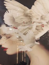 -郡艺医疗美容·微整·眼鼻吸脂