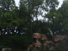 -宝岩生态观光园