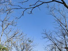 -牛岗山公园