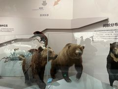 -长江文明馆