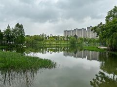 -洋湖国家湿地公园