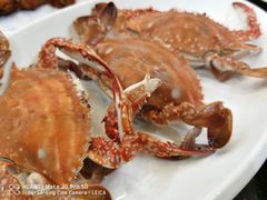 -劲莲舟山海鲜(东书房路店)