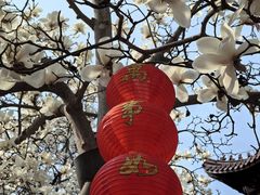 -灵谷景区
