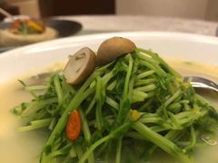 -广州白云机场雅高铂尔曼大酒店