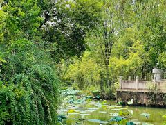 -西溪国家湿地公园