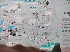-青岛森林野生动物世界