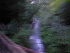 -峡谷浮石林景区