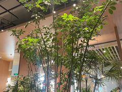 -gaga(深圳福田星河COCO Park店)