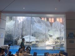 -帝企鹅自助餐厅•儿童岛•真企鹅(长隆企鹅酒店)