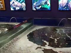 -蟹之国·精品蟹料理(极地店)