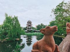 -桂湖森林公园