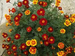 -金堂县云顶石城风景区