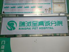 -瑞派动物医院·猫专科·至诚(江南中分院)