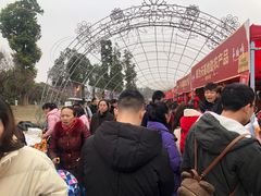 -秀丽东方