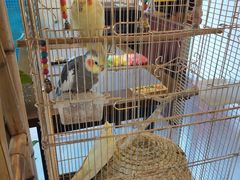 -潇湘·永州会馆(百子湾店)