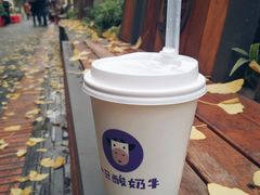 -一只酸奶牛(奎星楼店)