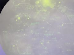 -苏州青少年科技馆