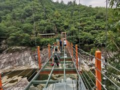 -燕子河大峡谷天坑仙境