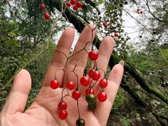 -青龙山生态文化旅游区(慈云寺)