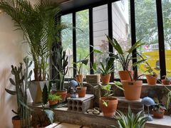 -PlantsEatery·植物食堂(REX春熙店)