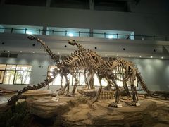 -自贡恐龙博物馆