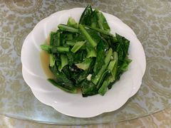 油麦菜-谭家菜农夫山庄