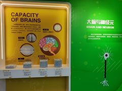 -松江科技馆