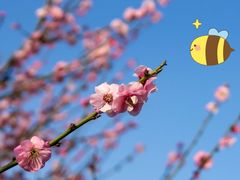 -莱西月湖公园