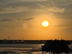 -宝安西湾红树林湿地公园