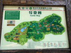 -西双版纳原始森林公园