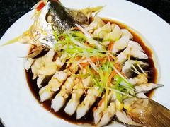 -大班家政月嫂育儿嫂(总部店)