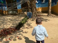 -宁波九龙湖开元度假村