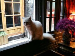 小妖-西塘明榉坊客栈