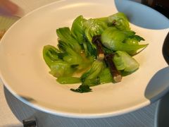 鲜鸡枞菌炒小唐菜-悦融·京鲁菜·露台花园(安定门店)