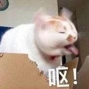 -麦当劳(中山公园龙之梦店)