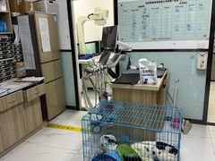 -嘉馨宠物医院·CT影像转诊·心脏科·犬猫全科诊疗中心(下沙大学城院区)
