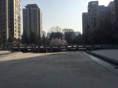 -木塔寺遗址生态公园