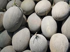 -鲜丰水果(大武汉1911店)