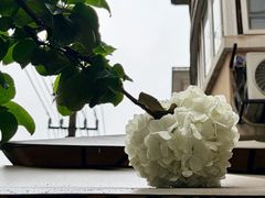 -T-COFFEE(长江花园店)