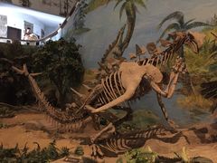 -自贡恐龙博物馆
