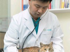 -美迦爱-牙专科·兔科·骨科诊疗中心(北苑店)