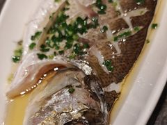 -同庆楼(滨湖万达广场店)