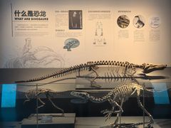 -自贡恐龙博物馆